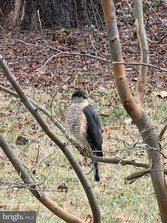 Image 51 of property listing at 3915 LONGMOOR CIR, Phoenix, MD 21131