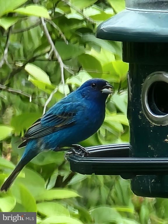 Image 52 of property listing at 3915 LONGMOOR CIR, Phoenix, MD 21131