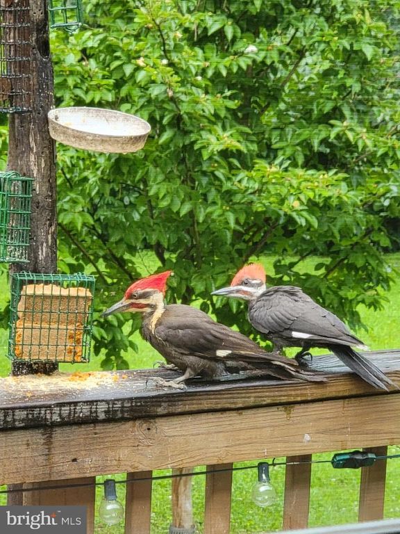 Image 53 of property listing at 3915 LONGMOOR CIR, Phoenix, MD 21131