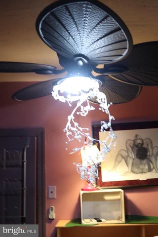 121 E TULPEHOCKEN, Philadelphia, PA 19144