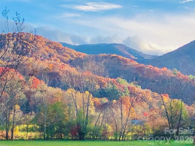 3 Taproot Trail, Barnardsville, NC 28709