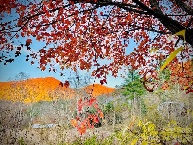 3 Taproot Trail, Barnardsville, NC 28709