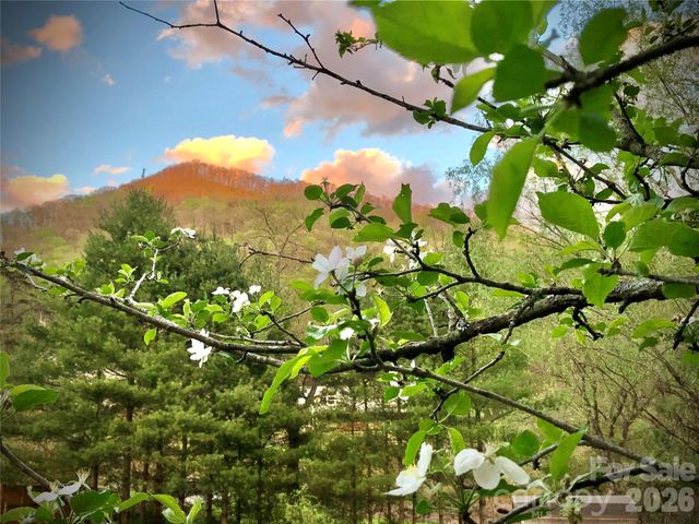 3 Taproot Trail, Barnardsville, NC 28709