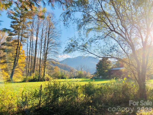 3 Taproot Trail, Barnardsville, NC 28709