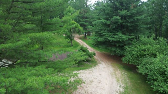21632 90th Avenue, Evart, MI 49631