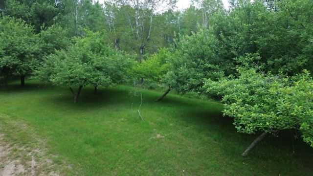 21632 90th Avenue, Evart, MI 49631