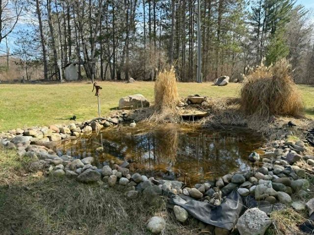 21632 90th Avenue, Evart, MI 49631