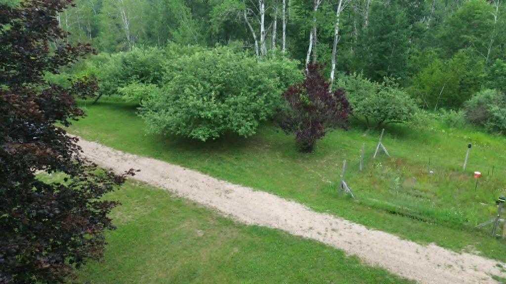 21632 90th Avenue, Evart, MI 49631