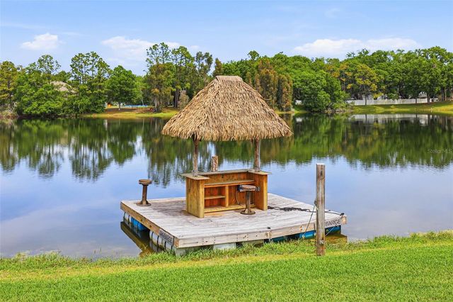 16533 HUTCHISON ROAD, Odessa, FL 33556