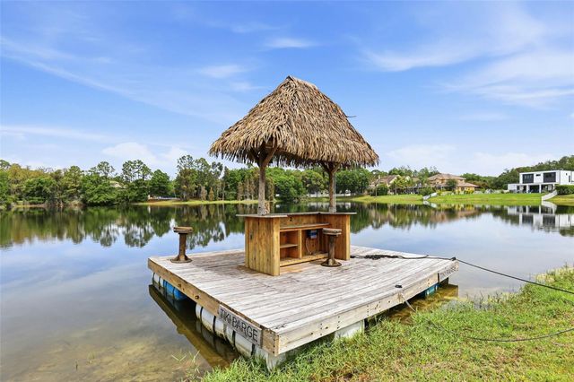 16533 HUTCHISON ROAD, Odessa, FL 33556