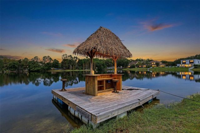 16533 HUTCHISON ROAD, Odessa, FL 33556