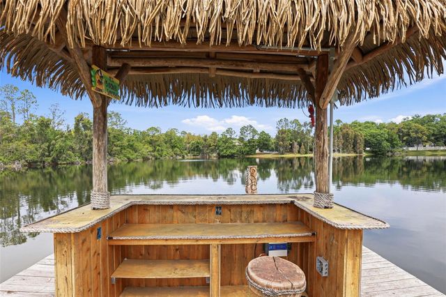 16533 HUTCHISON ROAD, Odessa, FL 33556