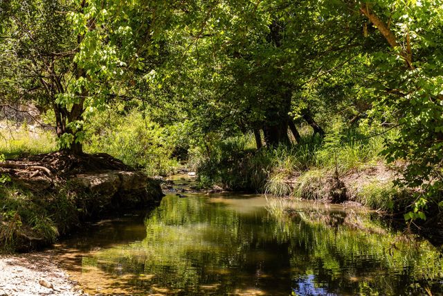 951 Cypress Creek RD, Kerrville, TX 78028