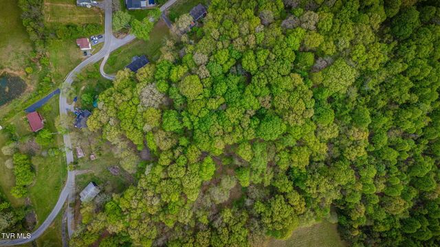 218 Bridwell Heights Road, Kingsport, TN 37664