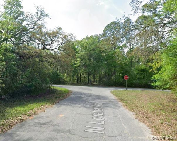 9800 N Loretta Way, Dunnellon, FL 34434