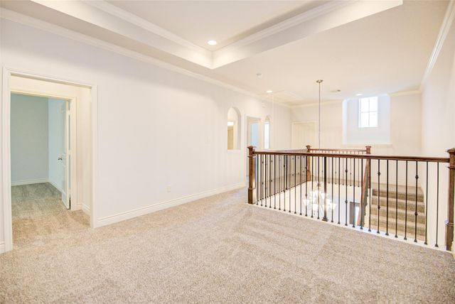 19 Daffodil Meadow Place, The Woodlands, TX 77375