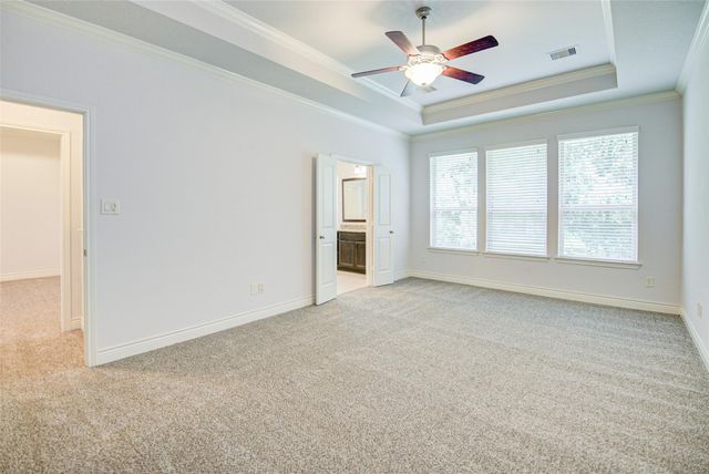 19 Daffodil Meadow Place, The Woodlands, TX 77375