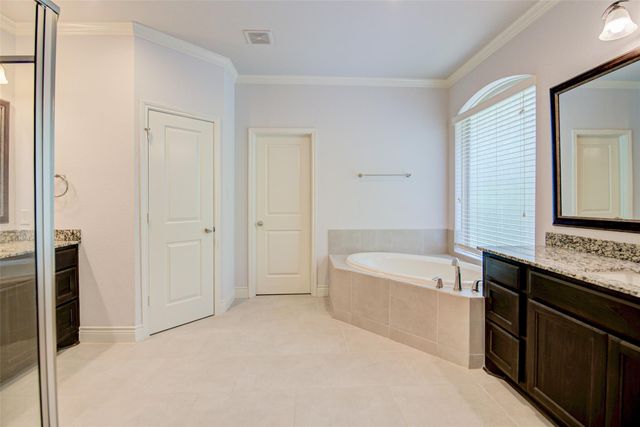 19 Daffodil Meadow Place, The Woodlands, TX 77375