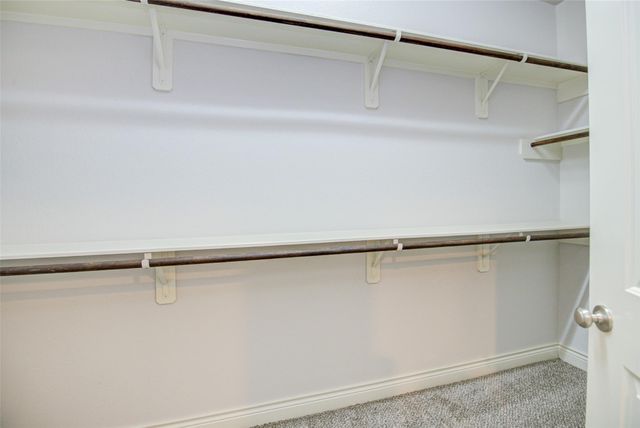 19 Daffodil Meadow Place, The Woodlands, TX 77375