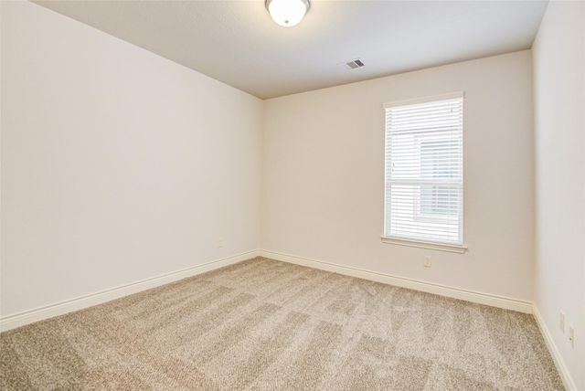 19 Daffodil Meadow Place, The Woodlands, TX 77375