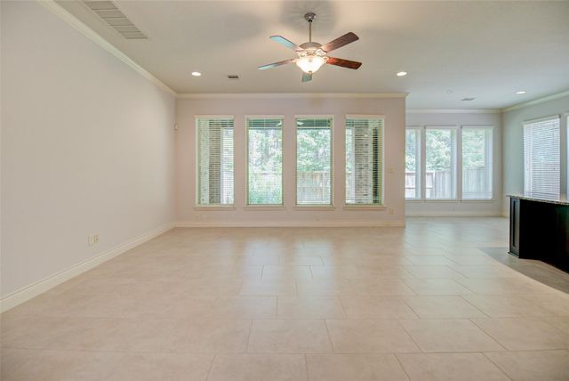 19 Daffodil Meadow Place, The Woodlands, TX 77375