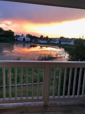 1131 Silverstone Drive 1131, Carpentersville, IL 60110