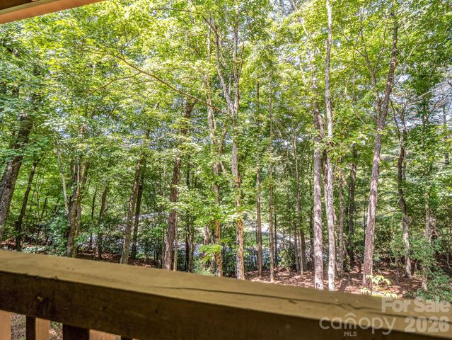 2760 Ugugu Drive, Brevard, NC 28712