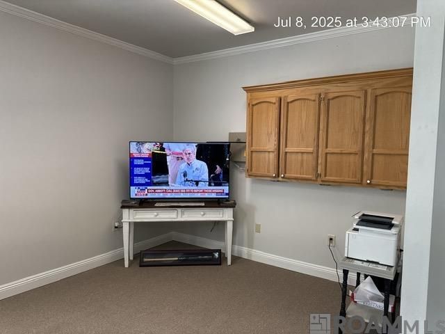 131 Del Norte Ave, Denham Springs, LA 70726