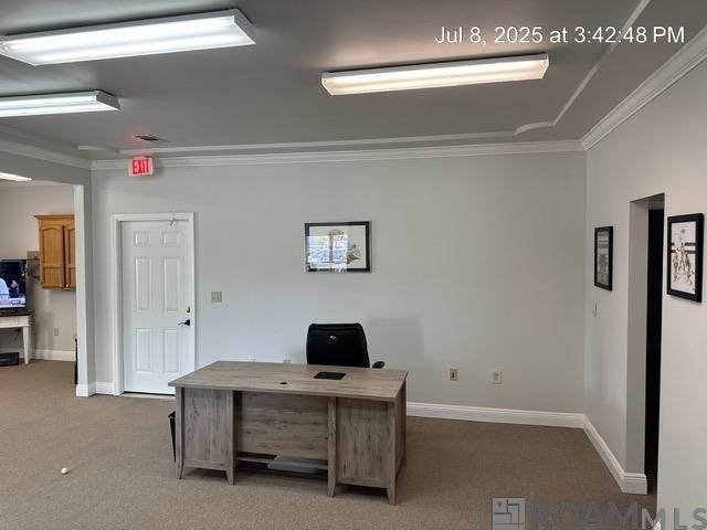 131 Del Norte Ave, Denham Springs, LA 70726