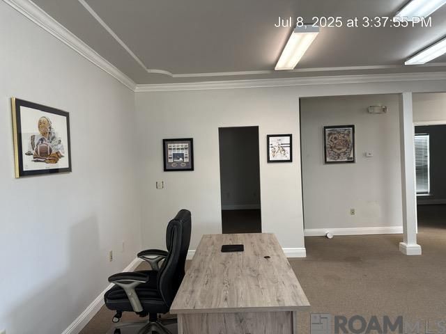 131 Del Norte Ave, Denham Springs, LA 70726