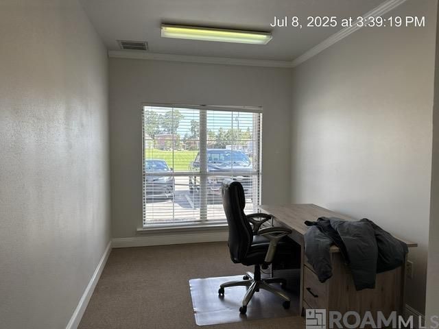 131 Del Norte Ave, Denham Springs, LA 70726