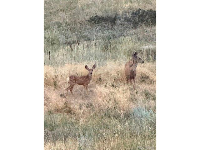 1404 Rowell Dr, Lyons, CO 80540