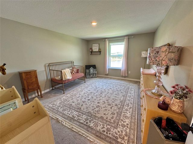 4420 HOLLOW STUMP RUN, Palmetto, FL 34221