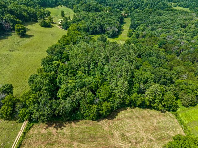 4545 Stephenson Schoolhouse Rd, Hampshire, TN 38461