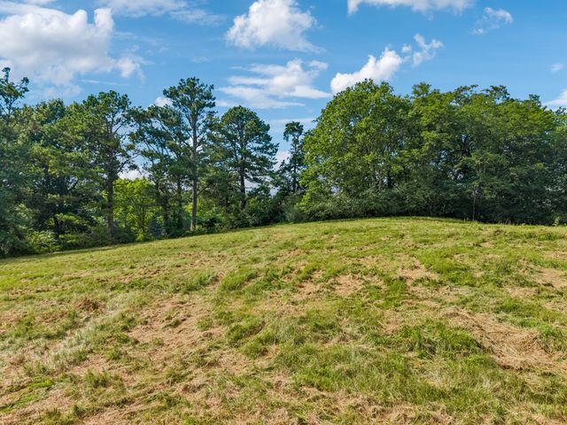 4545 Stephenson Schoolhouse Rd, Hampshire, TN 38461
