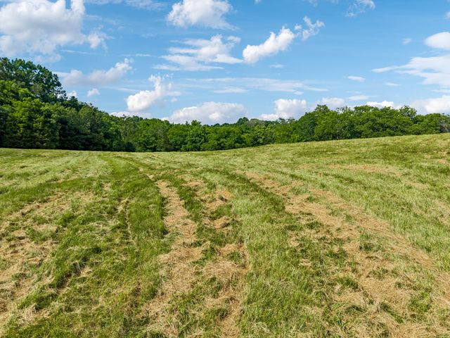 4545 Stephenson Schoolhouse Rd, Hampshire, TN 38461