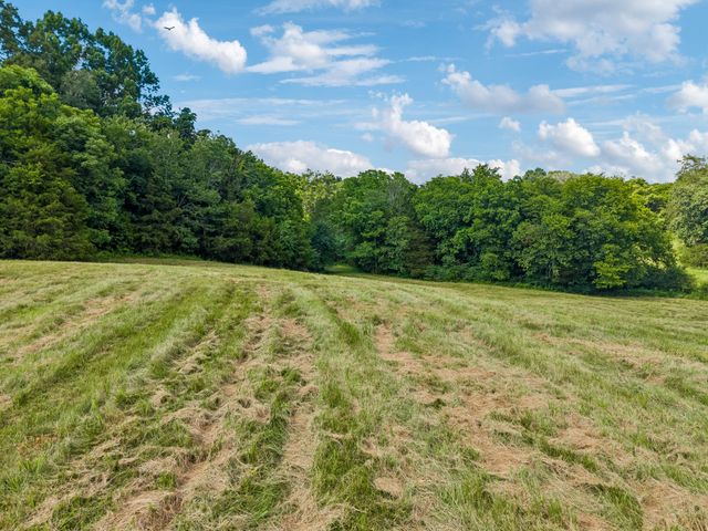 4545 Stephenson Schoolhouse Rd, Hampshire, TN 38461