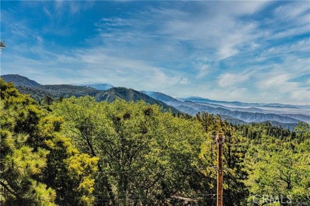 246 Ferndale Dr, Running Springs, CA 92382