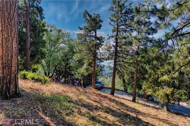 246 Ferndale Dr, Running Springs, CA 92382