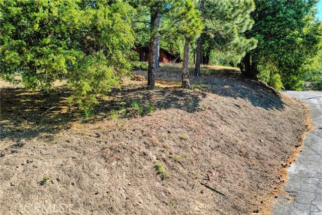 246 Ferndale Dr, Running Springs, CA 92382