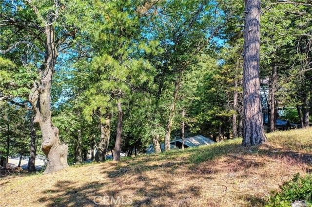 246 Ferndale Dr, Running Springs, CA 92382