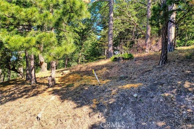 246 Ferndale Dr, Running Springs, CA 92382