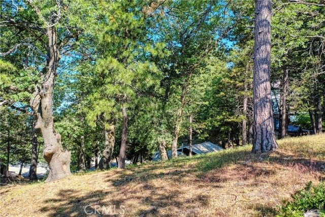 246 Ferndale Dr, Running Springs, CA 92382