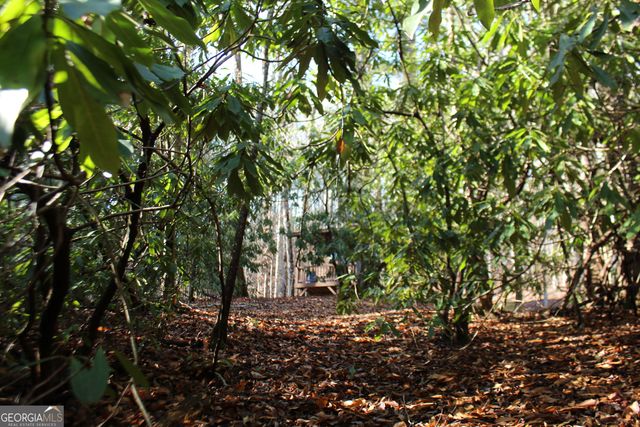 TRACT B Highland Cove, Hayesville, NC 28904