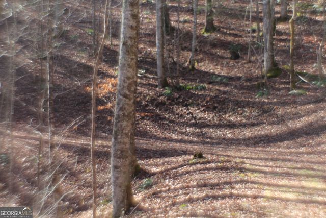 TRACT B Highland Cove, Hayesville, NC 28904