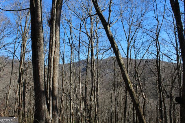 TRACT B Highland Cove, Hayesville, NC 28904