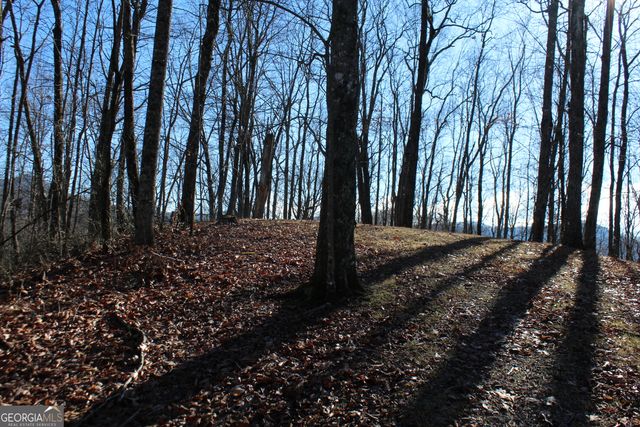 TRACT B Highland Cove, Hayesville, NC 28904