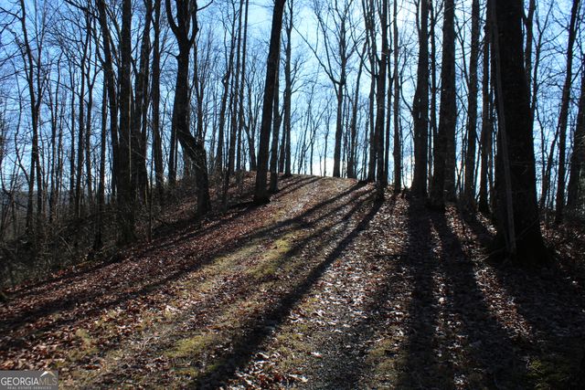 TRACT B Highland Cove, Hayesville, NC 28904