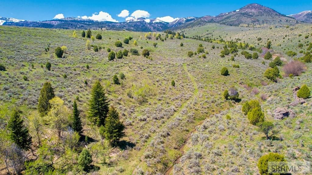 Image 11 of property listing at TBD 900 E, Downey, ID 83234