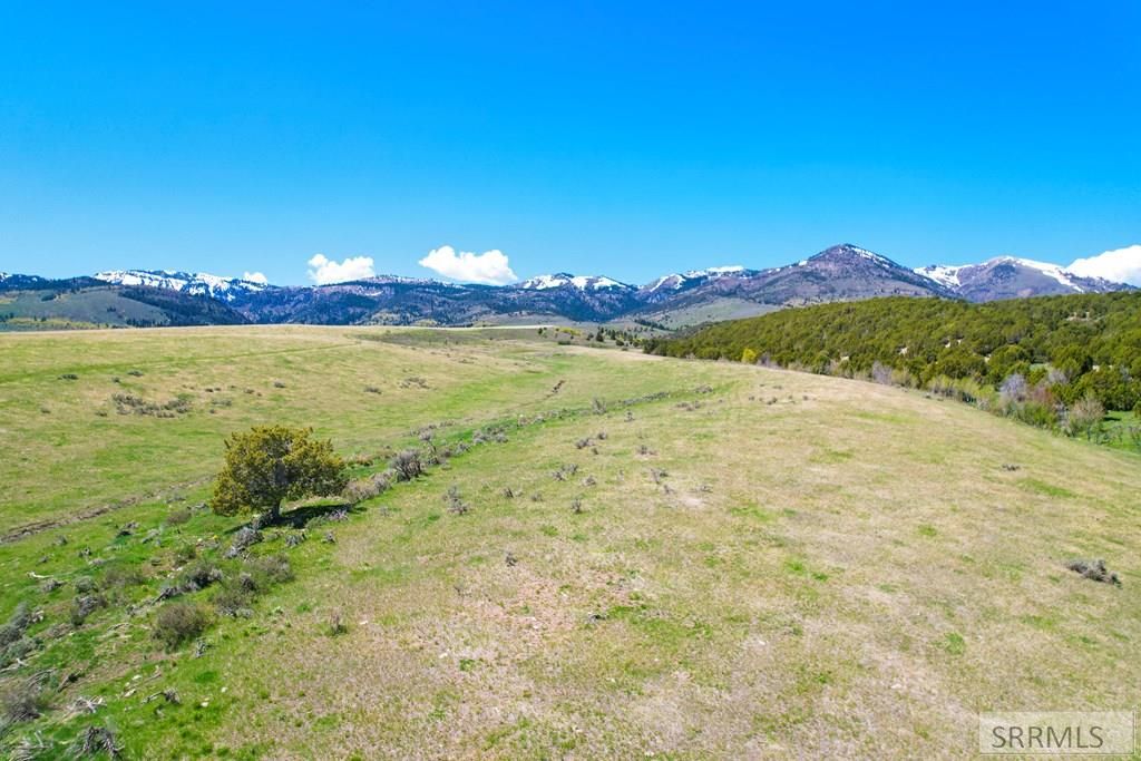 Image 6 of property listing at TBD 900 E, Downey, ID 83234